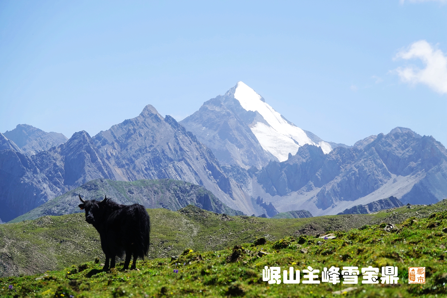 迭部:一脉相连的亲戚,因扎尕那而相聚