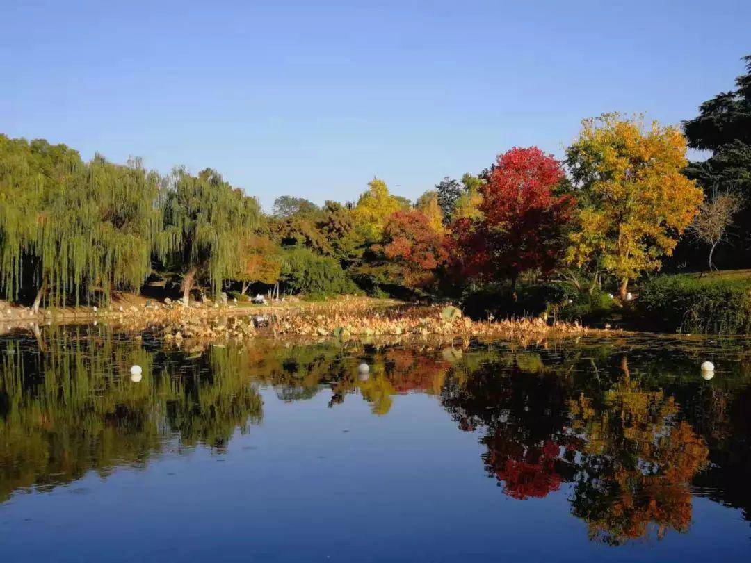 初春南京一日游攻略导图,南京秋景一日游的攻略