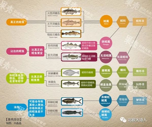 屁股漏油的锅，挪威鳕鱼不背!