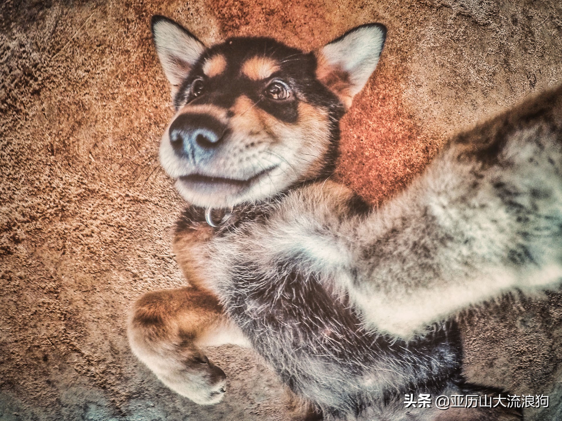 我流浪到中缅边境，发现一座奇特的寺庙，修行的僧人竟都是孩童