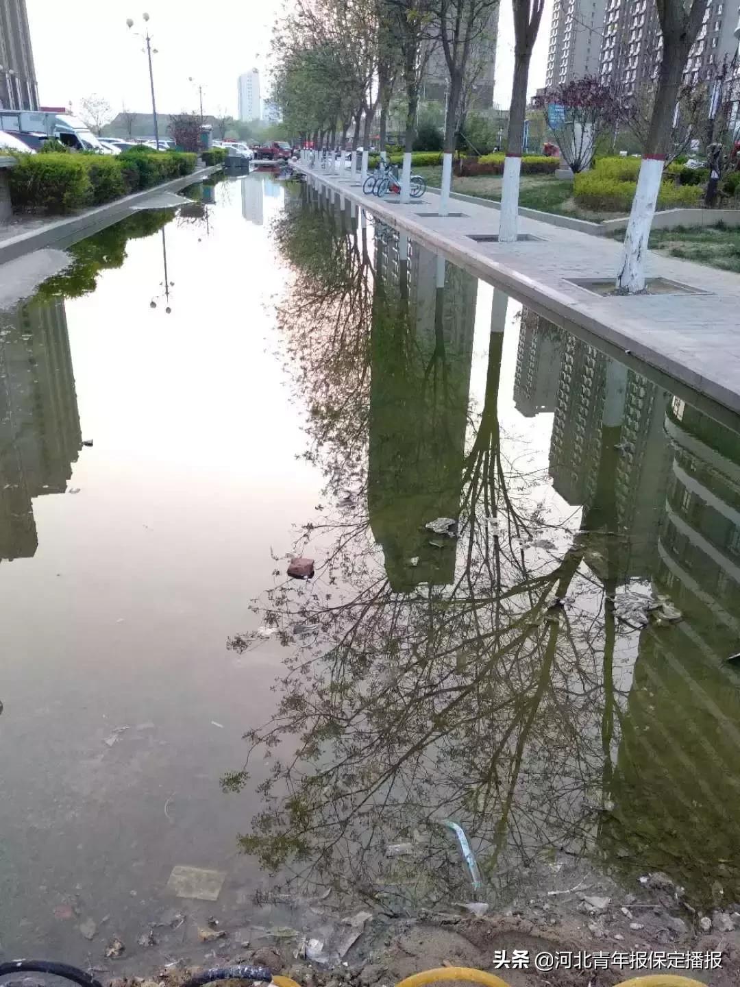 昨天保定新闻头条最新消息,今天新闻联播保定