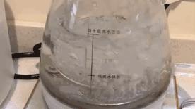 花式鲜炖燕窝推荐,花式鲜炖燕窝给你不一样味道