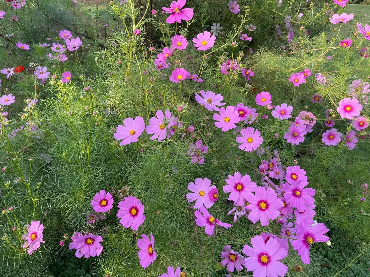 在孤独和痛苦中摸索前行,一个人在黑暗中摸索前行