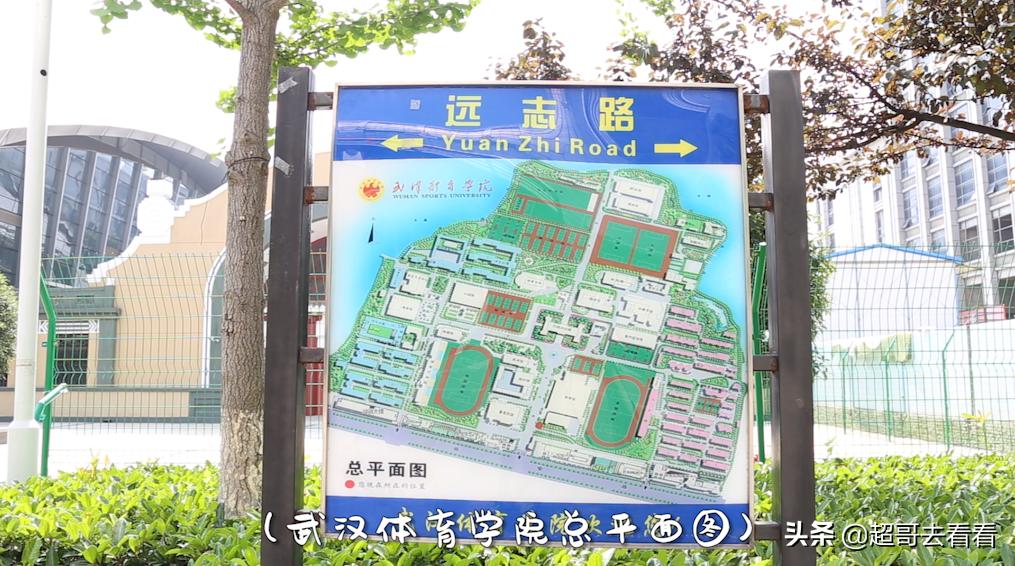 武汉体育学院最强学科,武汉体院排名