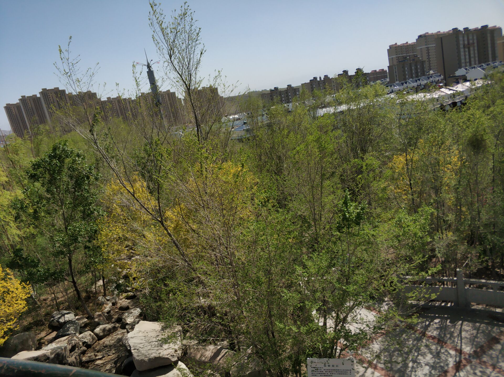 乌鲁木齐居然有这么漂亮的地方,乌鲁木齐周边森林公园在哪里