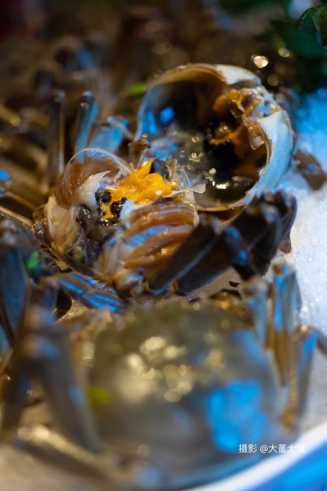 腌活蟹的正确方法,芒种生腌蟹技术