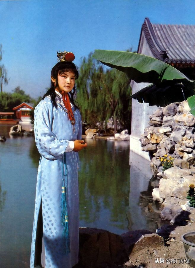 宝玉写的偈子是什么意思,宝玉的意思