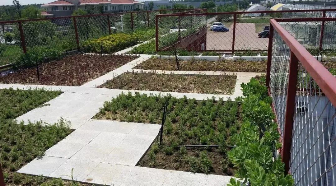 从楼顶看地面,从屋顶看故宫