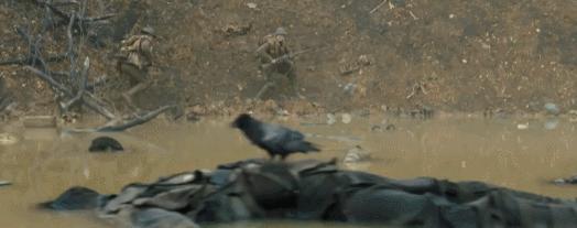 金刚川电影最新,金刚川电影概述