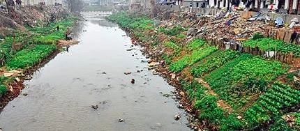 从臭水沟到打卡的经历,圭塘河臭水沟风光