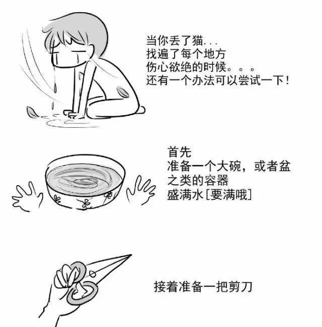 爱猫不慎走失，原因令主人伤心，铲屎官应学两种寻猫小方法！