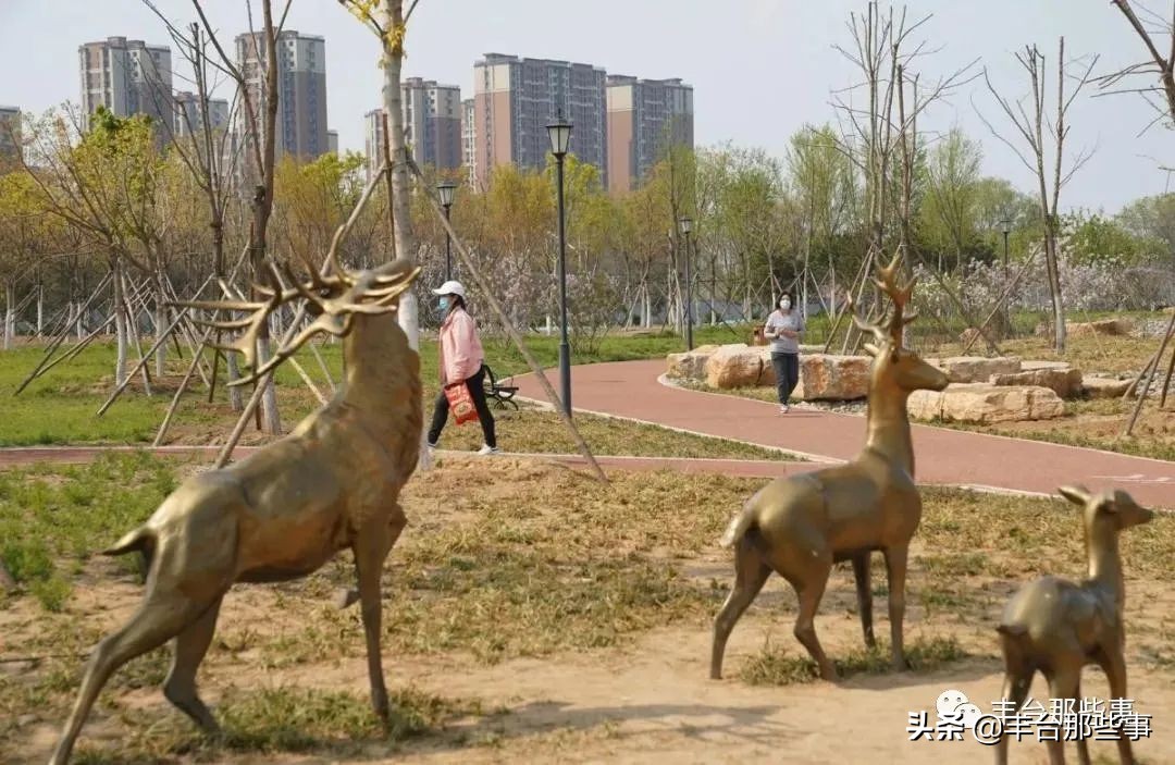 北京丰台区白盆窑健身步道,丰台健身步道规划哪家好