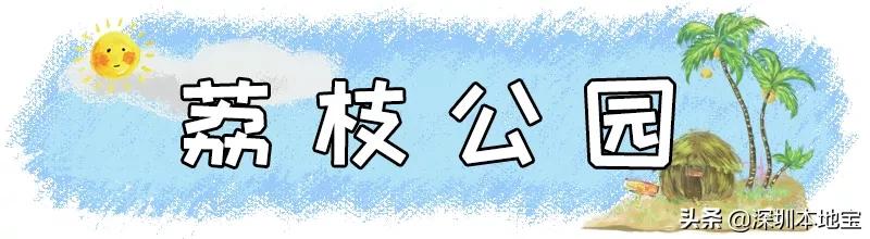 深圳有哪些地方免费景点,深圳都有什么景点免费游玩