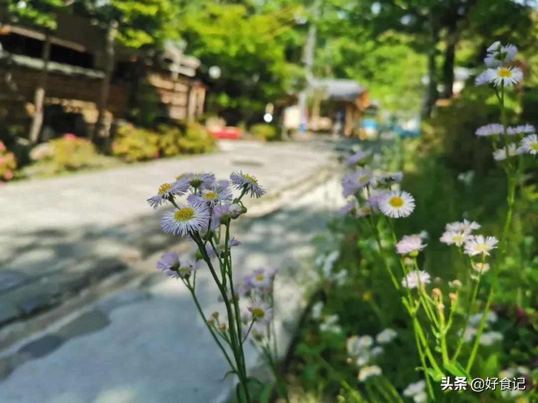 日本，如是我闻(上）