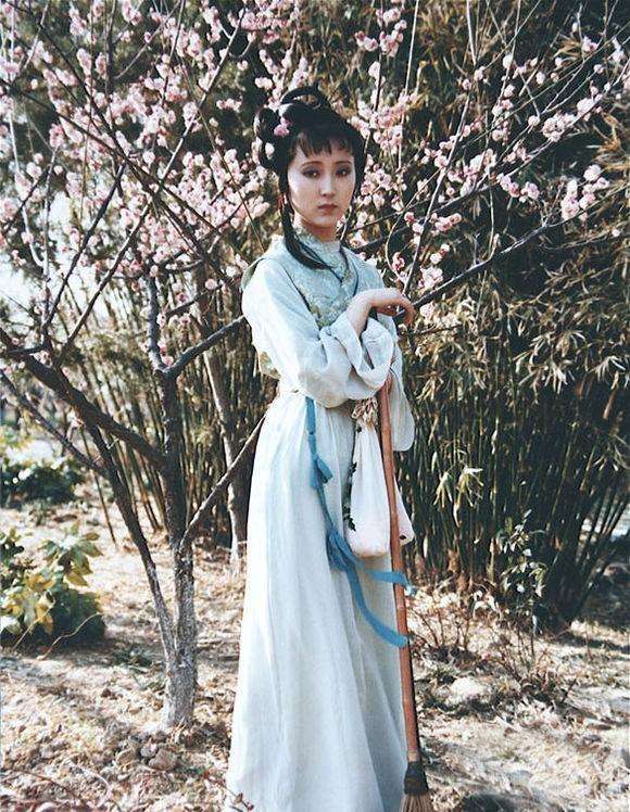 薛宝钗为什么要吃冷香丸,薛宝钗为啥要吃冷香丸