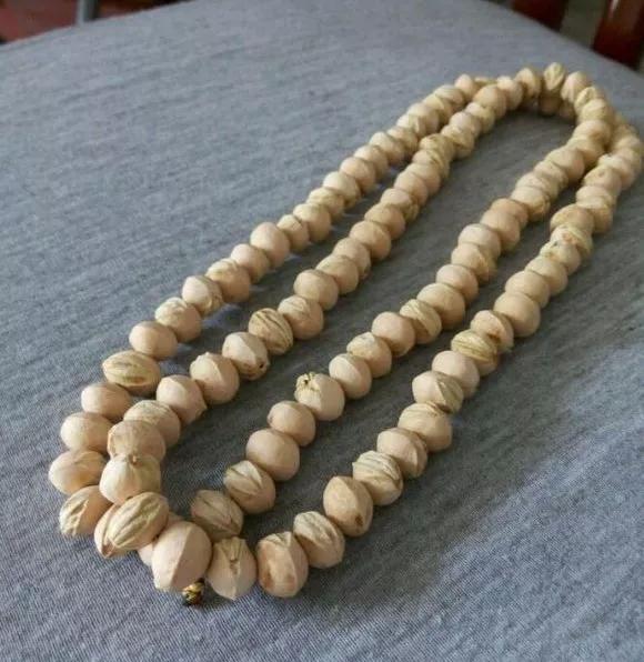 吃剩的水果核不要丢弃,吃剩的樱桃籽能种吗