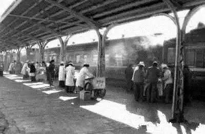 三趟快车|不为人知的“赶车人”（二）