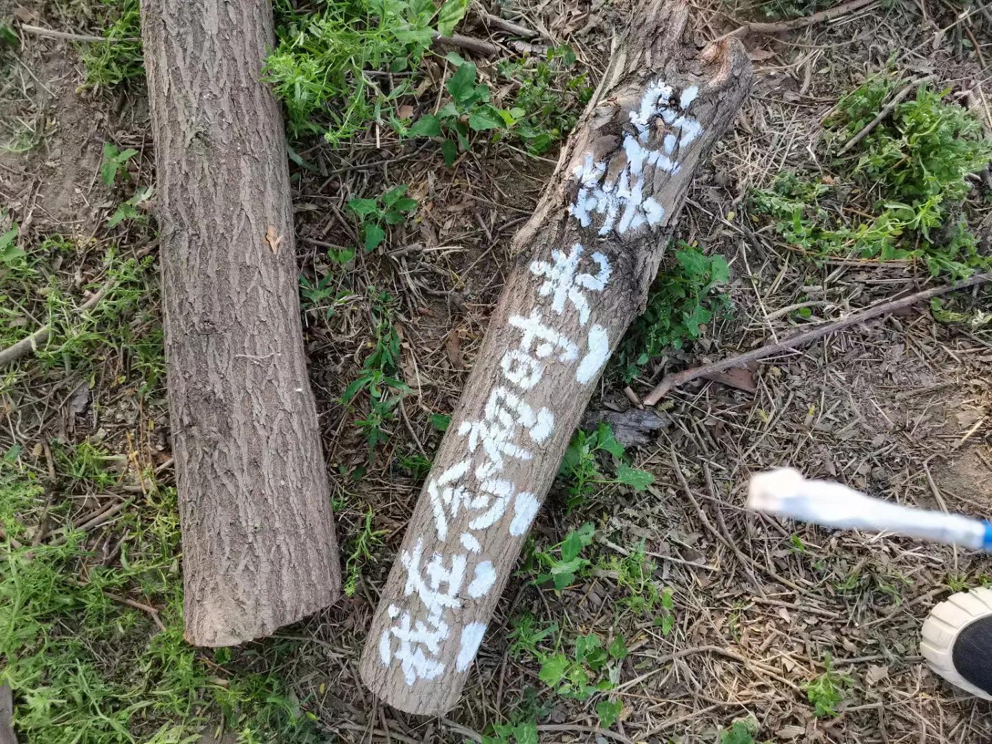 蹇靛垵鏃跺厜鍐滃満鐢佃瘽,蹇靛垵鏃跺厜浜插瓙鍐滃満