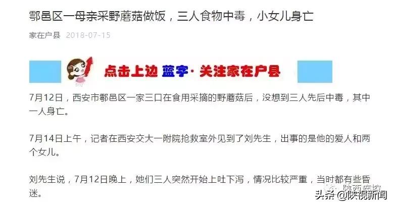 野生蘑菇吃的时候怎么辨别有毒,警惕野生蘑菇不能随便采小心中毒