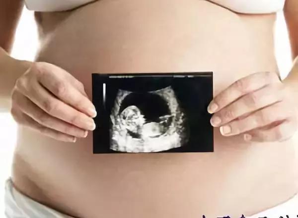 网上介绍代孕骗局,代卵代孕行业背后黑幕