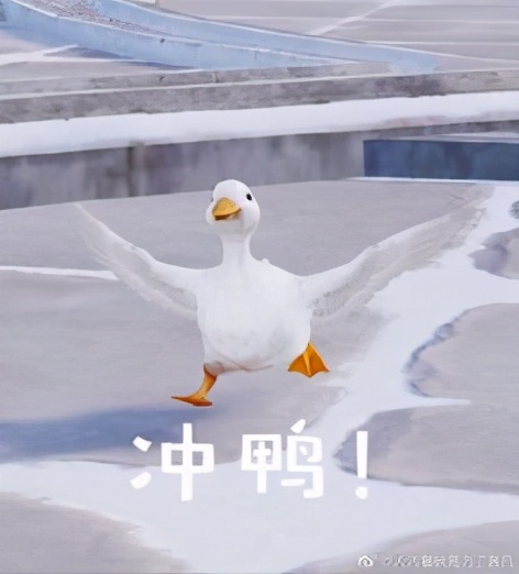 有趣的年会活动,有趣的年会搞笑开场