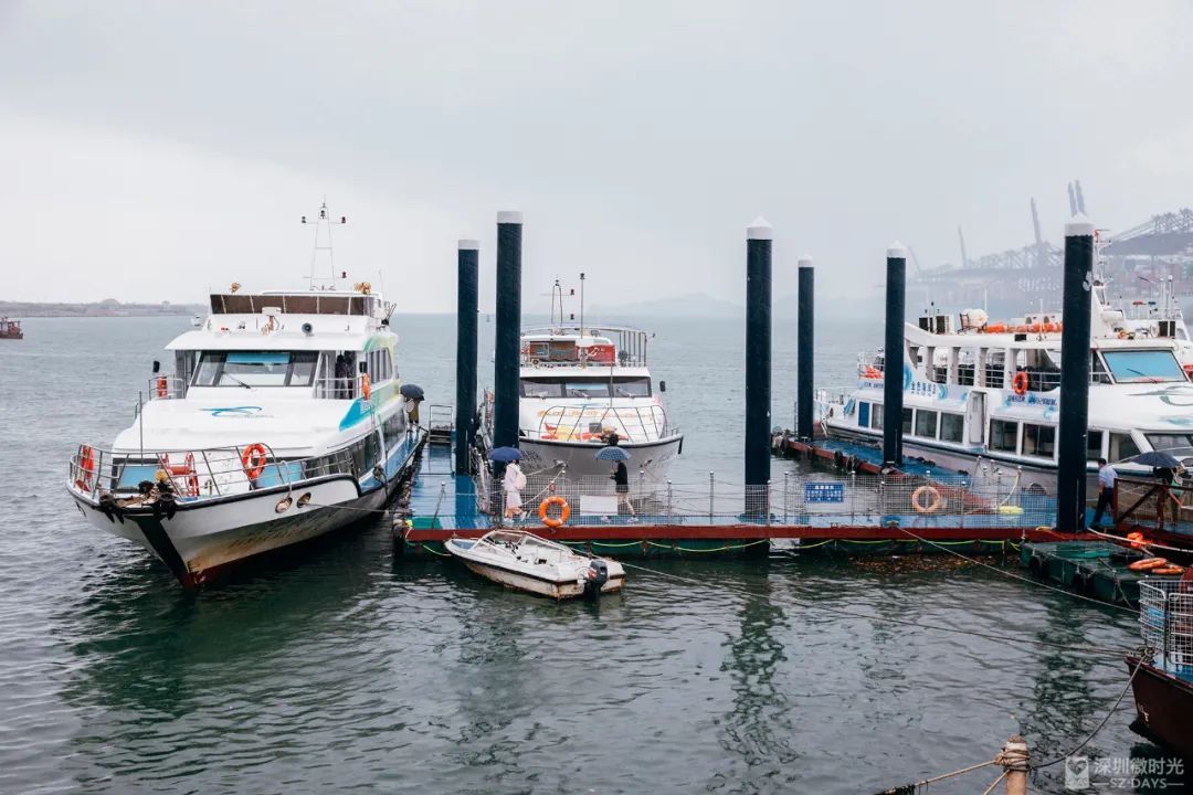 深圳攻略一日游免费,深圳日结导游