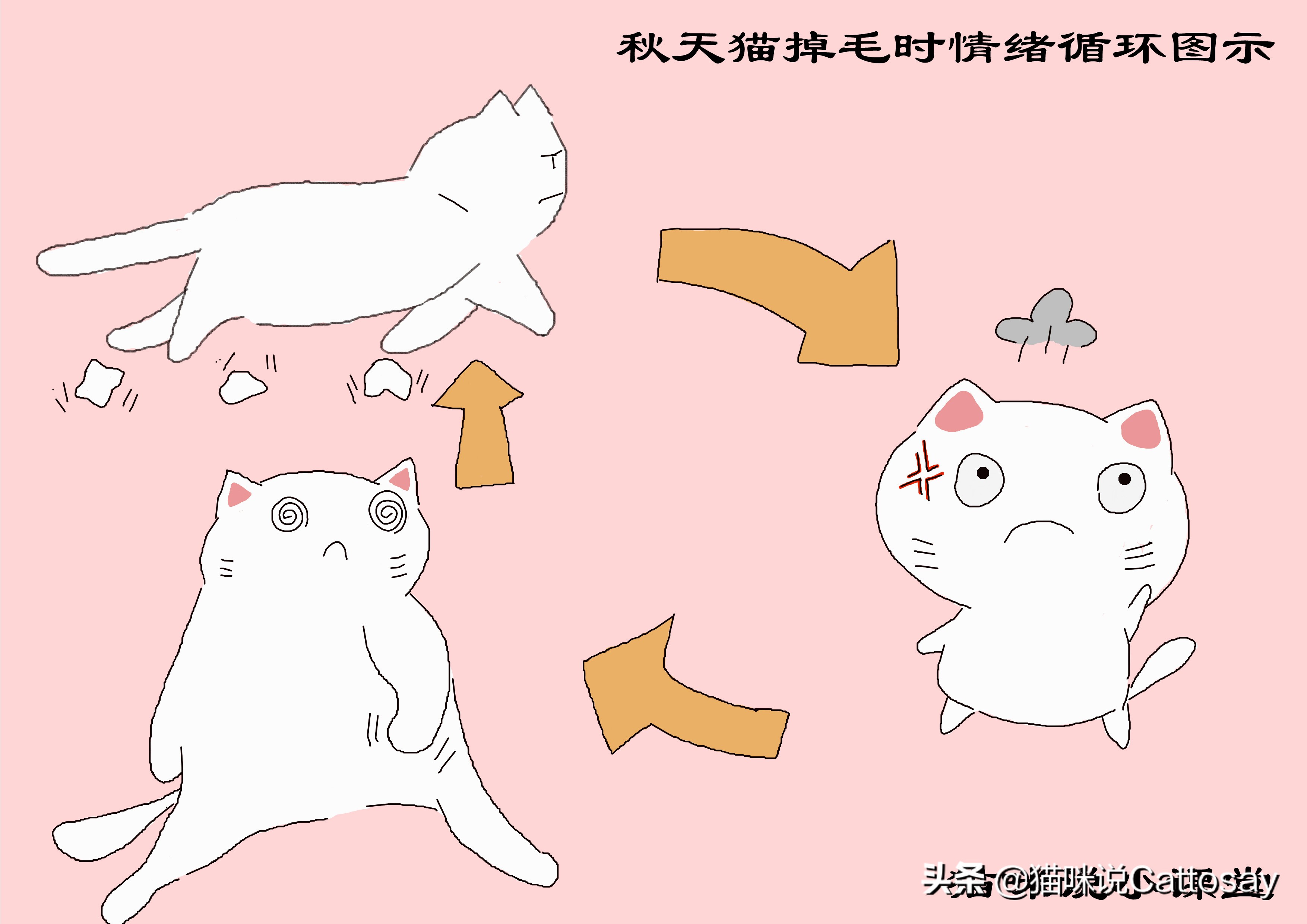 秋天猫容易掉毛不,秋天猫掉毛严重怎么办