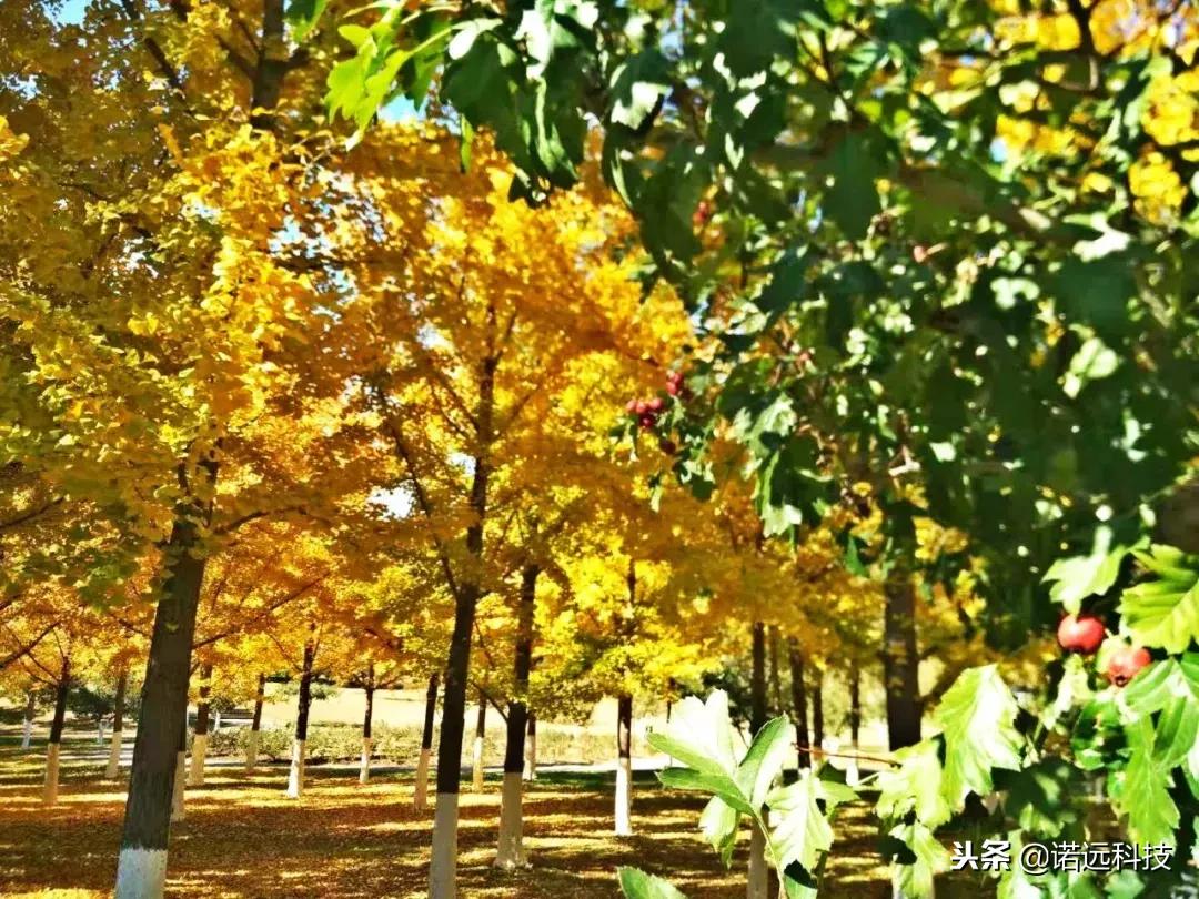 苦行僧般的自律才有所谓的优秀,所有优秀的背后都是苦行僧的自律