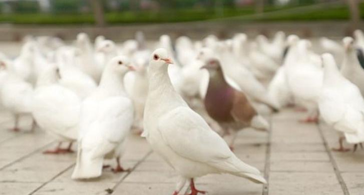 出现这几种情况一定要引起重视,出现这些症状你就要留意了