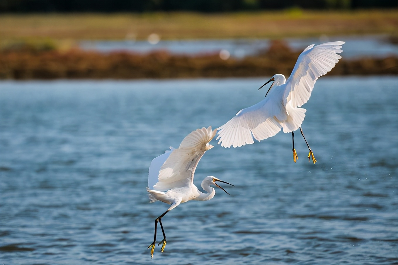 秦皇岛户外探险,秦皇岛旅游攻略最新版