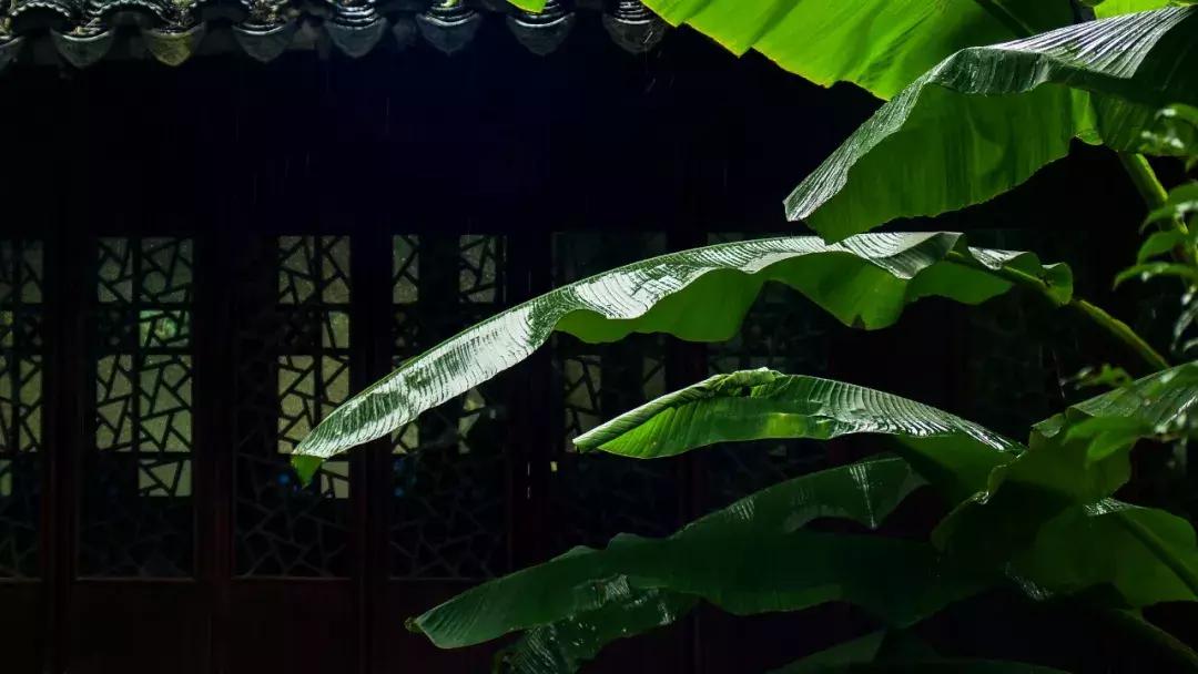 探访苏州老景区拙政园,苏州拙政园因谁出名