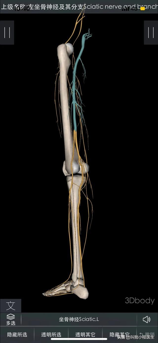 腰椎间盘突出和骨质增生怎样缓解,抗骨质增生片对腰间盘突出有效吗