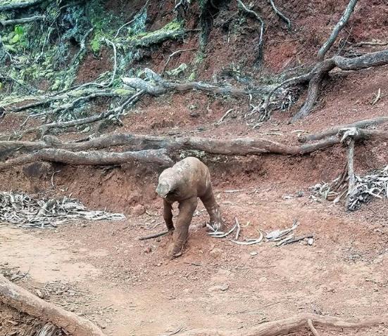 25张欺骗你眼睛的图片,100张欺骗眼睛的图片高清