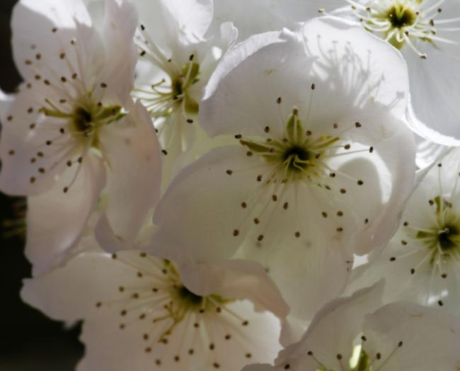 情人家里有事跟我渐行渐远,情人渐行渐远该怎么办