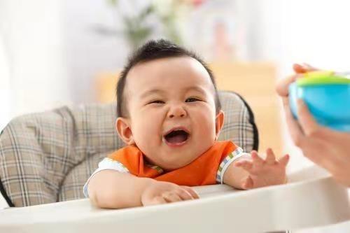 11个月大的宝宝早餐吃什么辅食好,11个多月的宝宝不爱吃辅食怎么办