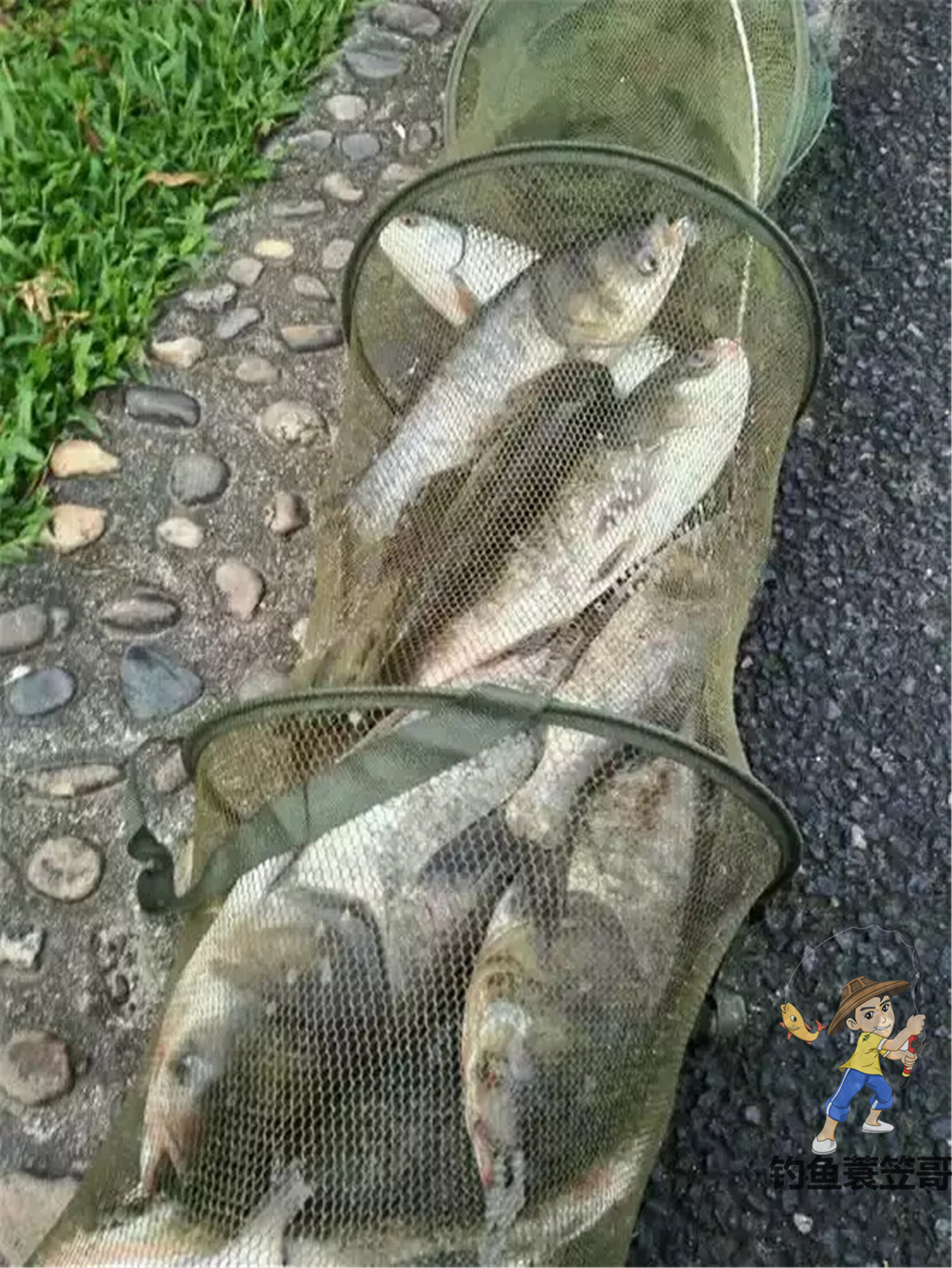 钓鱼人的精彩瞬间,钓鱼人的高光时刻是什么