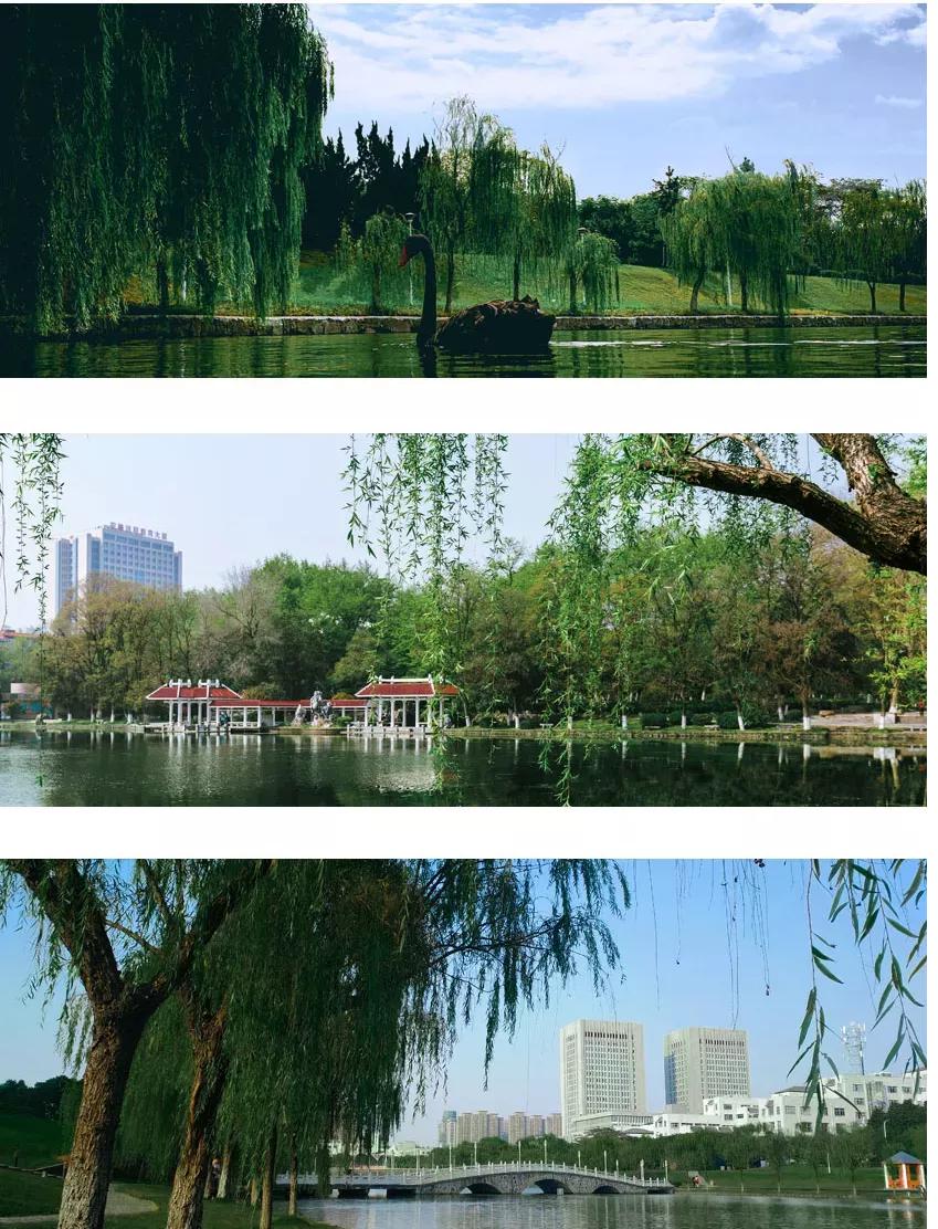 安徽合肥大学二本院校,安徽合肥工业大学