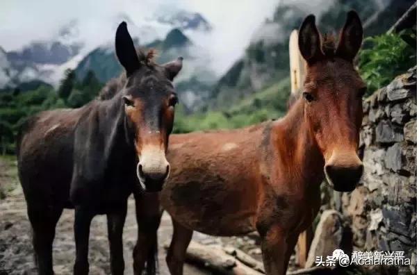 40年前兴平人的夜生活，你知道吗？