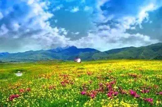 全国300多个著名景区免费游！别忘了带上这个证~