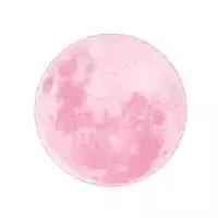 错过了周年庆下一次还有吗,mk轻奢酒神包