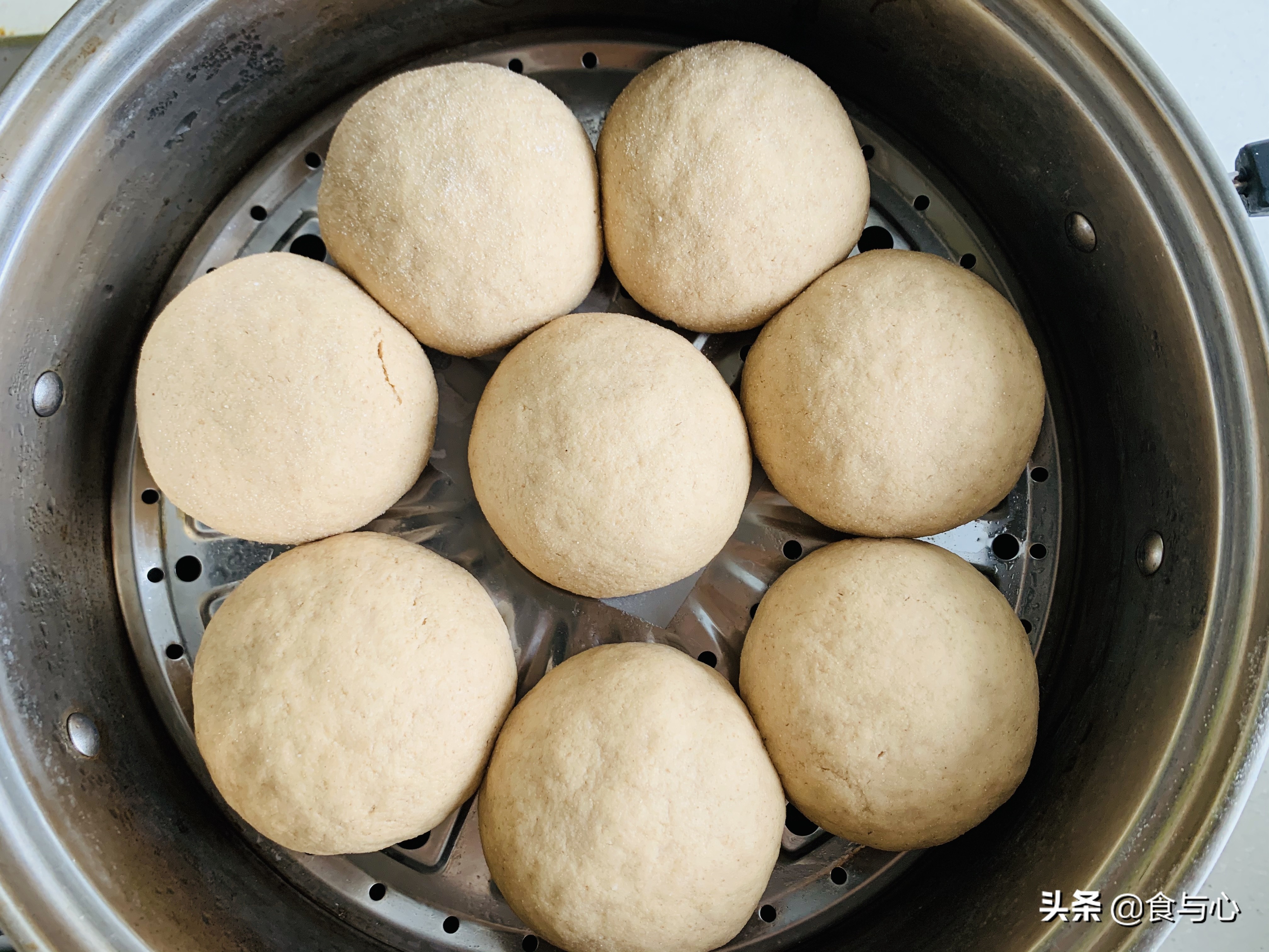 干酵母乳酸菌开花馒头做法,乳酸菌代替酵母做馒头