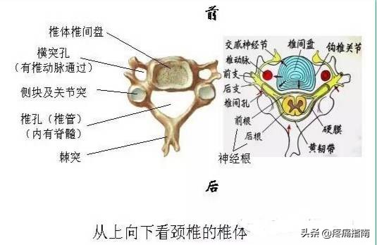 疼痛调理手法,疼痛治疗技巧视频