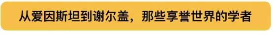 美国大学mit校长,美国大学圣路易斯华盛顿大学