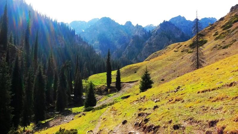 带上UL从狼塔C回家