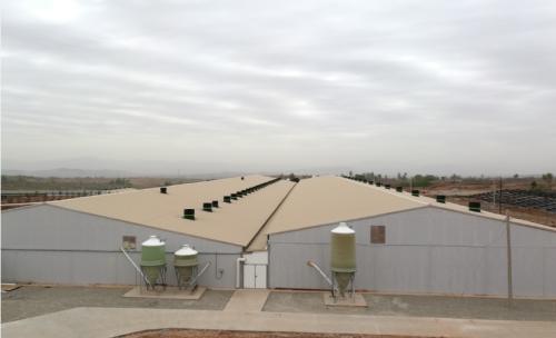 猪价走低对大型养猪企业有影响吗,养猪前景及2024年猪价预测