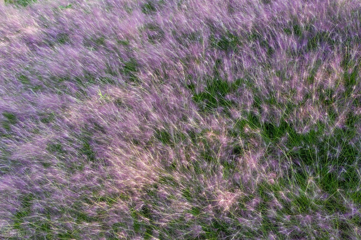 中老年女人肾虚怎么补,女性肾虚的十大食疗滋补方法