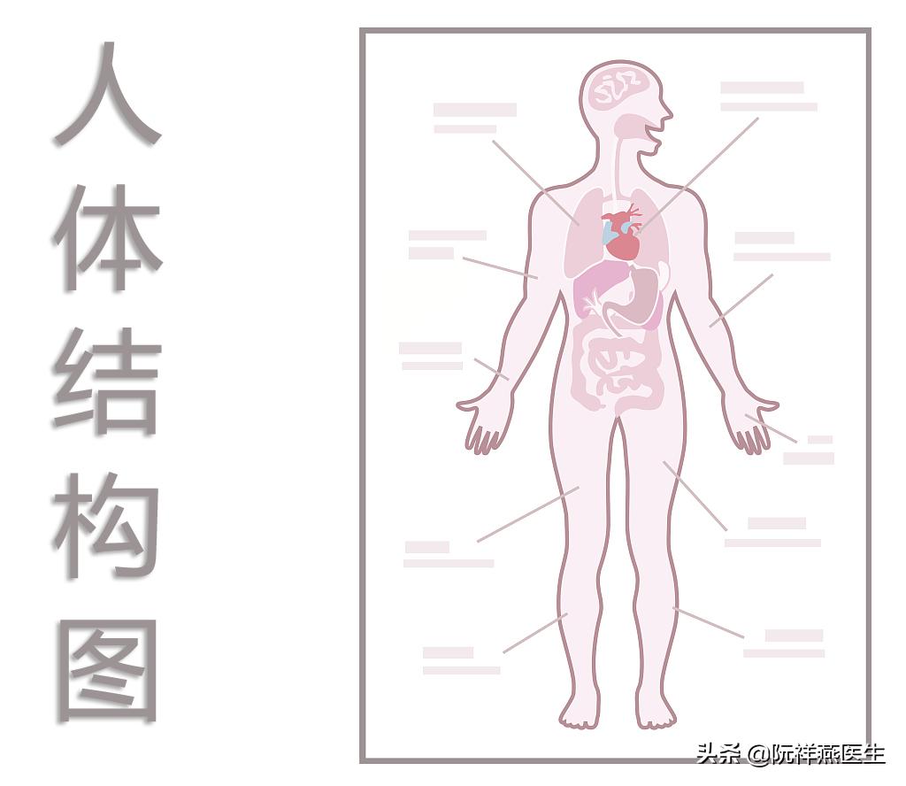 女人绝经时尿道易感染吗,绝经后反复泌尿系感染咋办啊