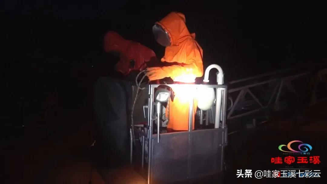 马蜂窝扰民消防救援,马蜂频繁扰民消防员火攻围剿