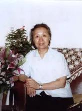 豫剧流派联唱,豫剧小生流派