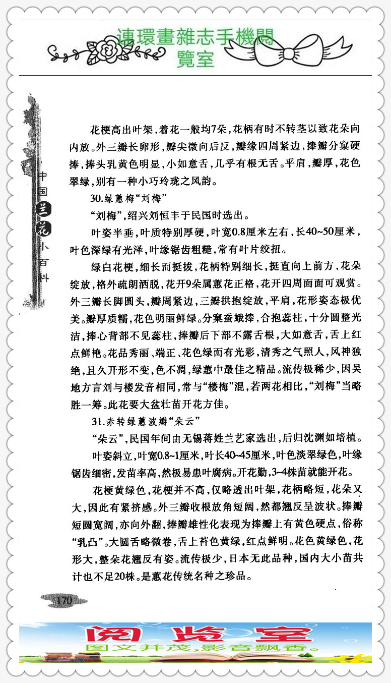 中国兰花的品种图片,中国兰花小百科书籍有哪些